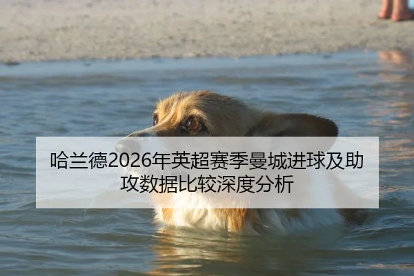 哈兰德2026年英超赛季曼城进球及助攻数据比较深度分析