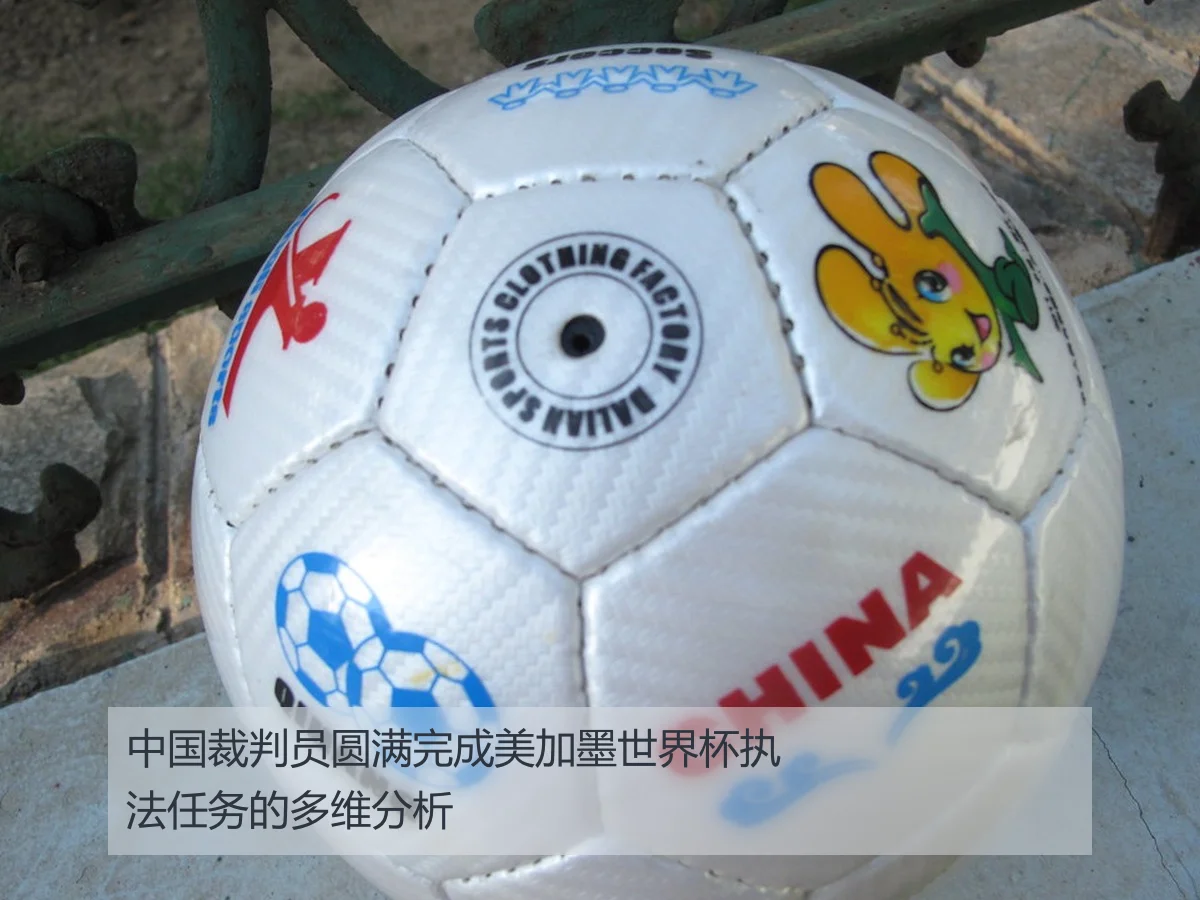 中国裁判员圆满完成美加墨世界杯执法任务的多维分析