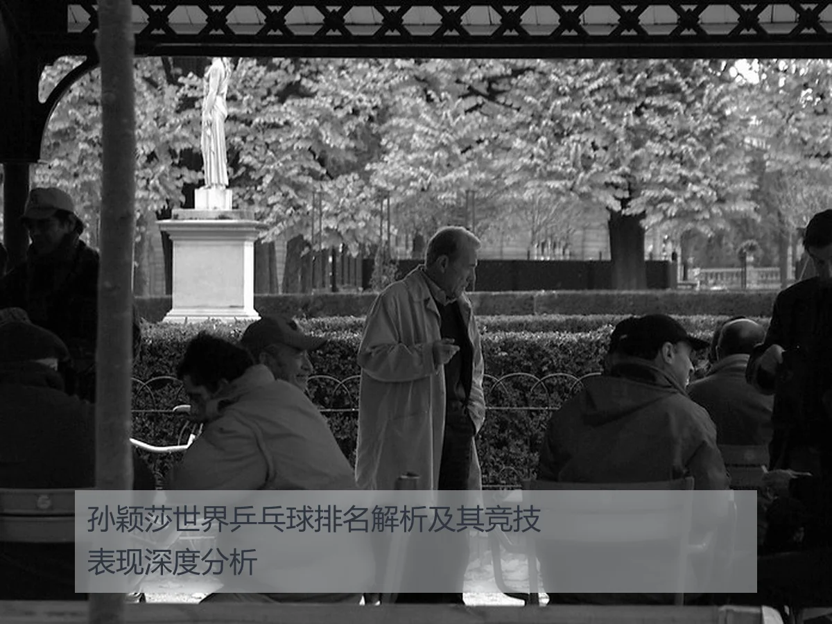 孙颖莎世界乒乓球排名解析及其竞技表现深度分析
